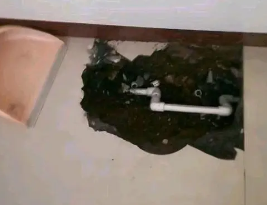 桦川卫生间测漏水多少钱